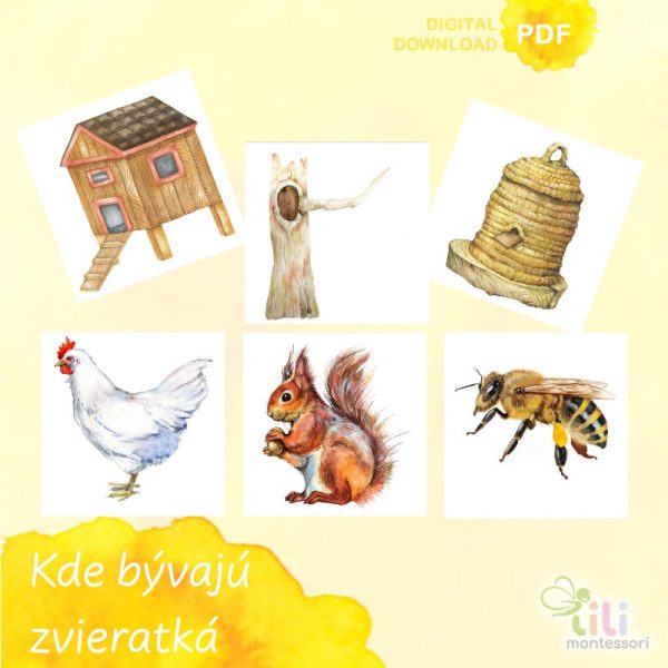Zvieratá a ich domov - Image 2