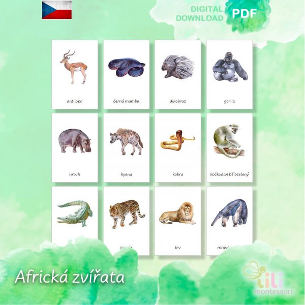 Africké zvířata-Trojsložkové karty ČJ - Image 3