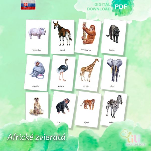 Africké zvieratá-Trojzložkové karty - Image 2