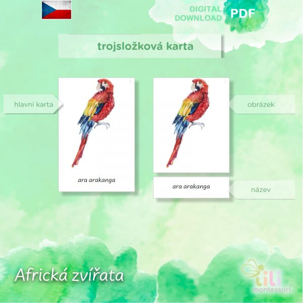 Africké zvířata-Trojsložkové karty ČJ - Image 5