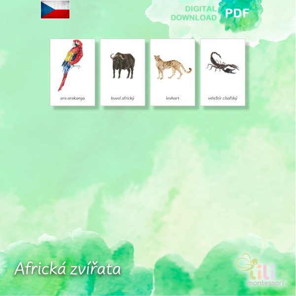 Africké zvířata-Trojsložkové karty ČJ - Image 4