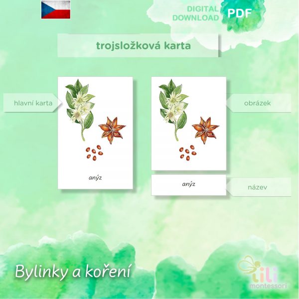 Bylinky a koření -Trojsložkové karty ČJ - Image 5