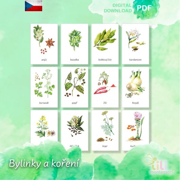 Bylinky a koření -Trojsložkové karty ČJ - Image 3