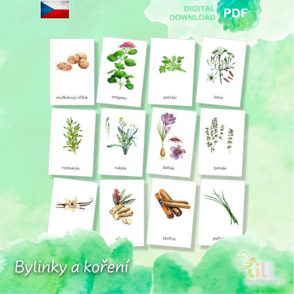 Bylinky a koření -Trojsložkové karty ČJ - Image 2