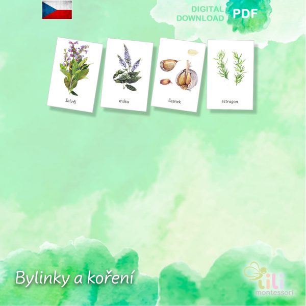 Bylinky a koření -Trojsložkové karty ČJ - Image 4
