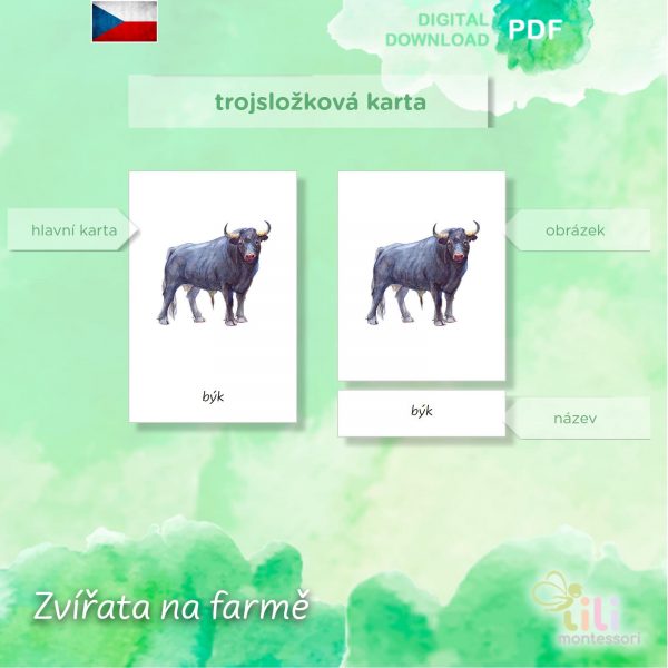 Zvířata na farmě -Trojsložkové karty ČJ - Image 4