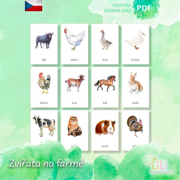 Zvířata na farmě -Trojsložkové karty ČJ - Image 2