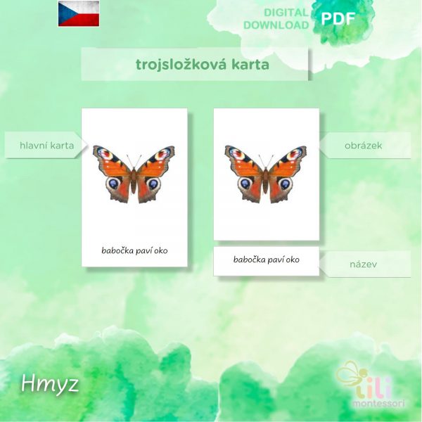 Hmyz-Trojsložkové karty ČJ - Image 4