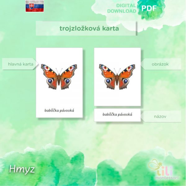 Hmyz-Trojzložkové karty - Image 4