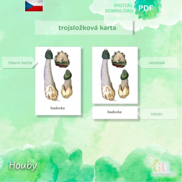 Houby -Trojsložkové karty ČJ - Image 4