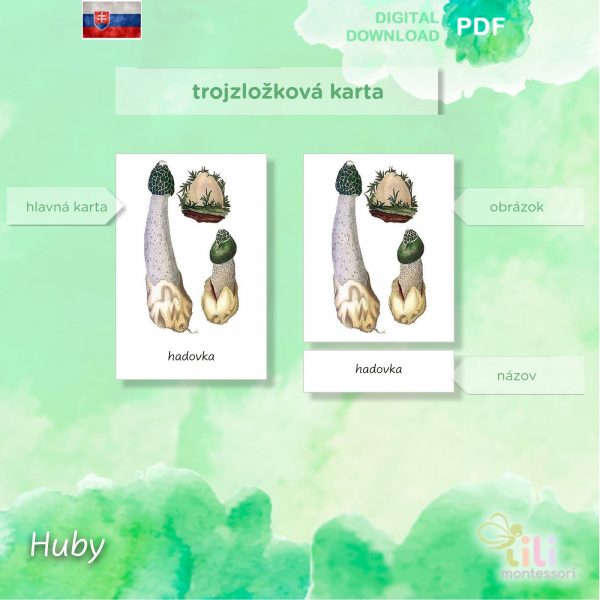 Huby -Trojzložkové karty - Image 4
