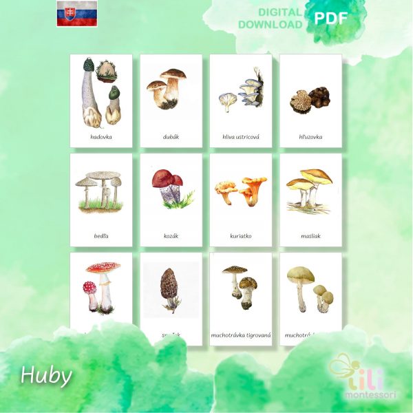Huby -Trojzložkové karty - Image 3