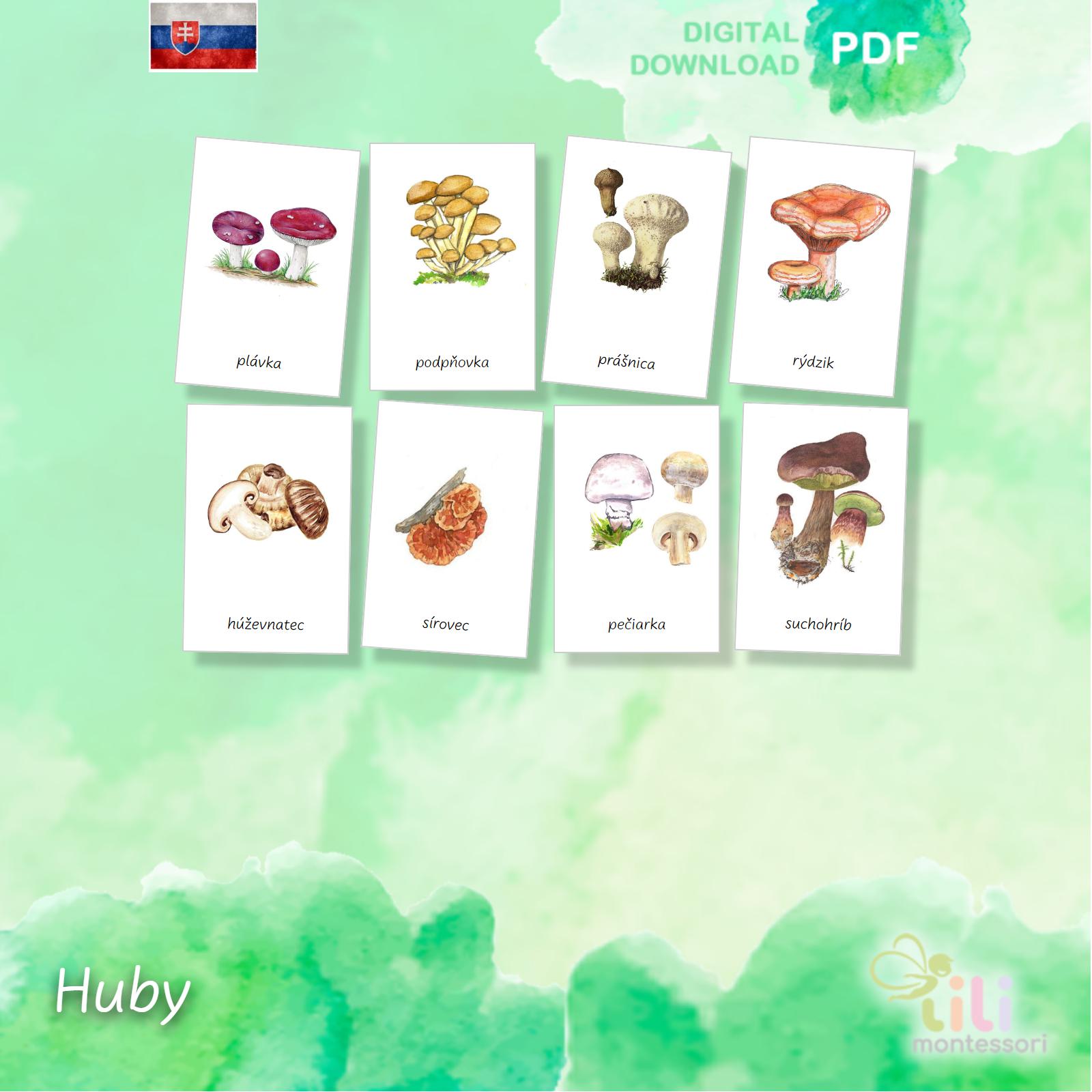 Huby -Trojzložkové karty