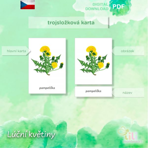 Lúční květiny-Trojsložkové karty ČJ - Image 4