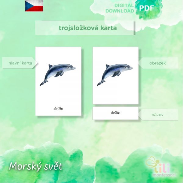 Morský svět -Trojsložkové karty ČJ - Image 5