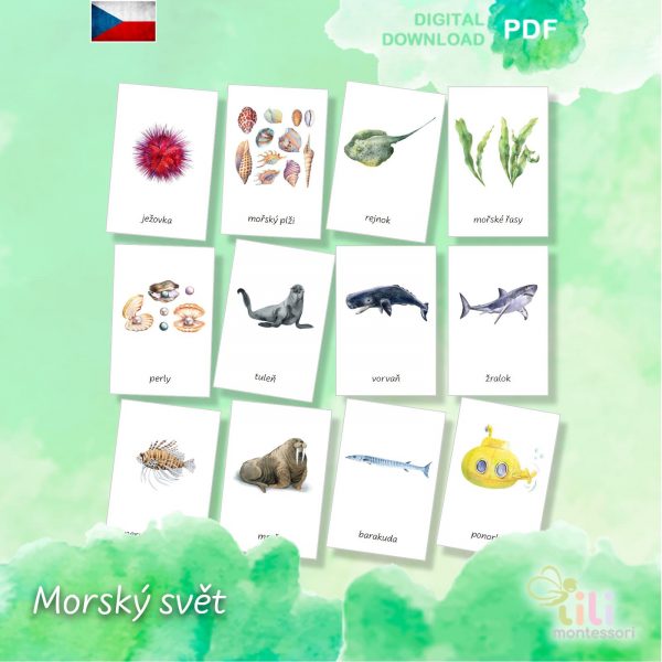Morský svět -Trojsložkové karty ČJ - Image 3
