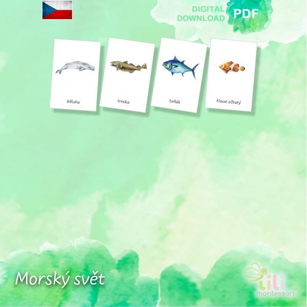 Morský svět -Trojsložkové karty ČJ - Image 4