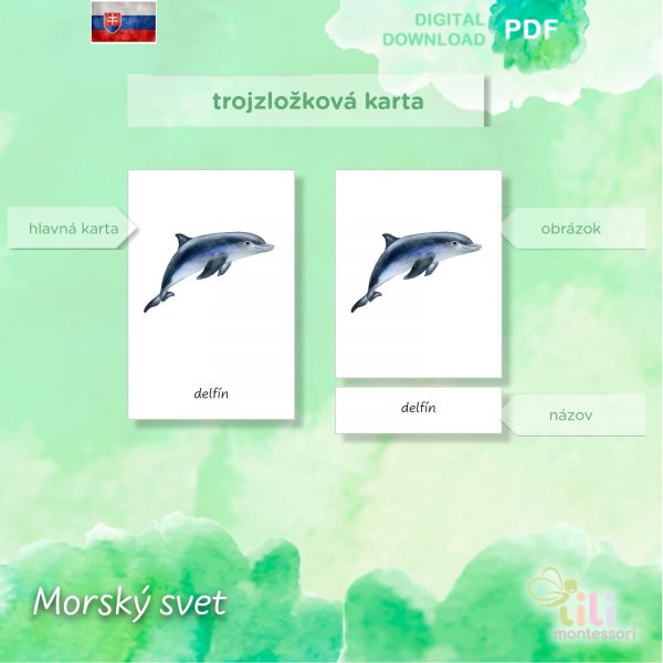 Morský svet -Trojzložkové karty - Image 5