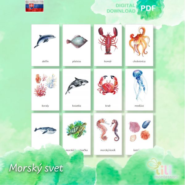 Morský svet -Trojzložkové karty - Image 2