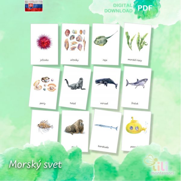 Morský svet -Trojzložkové karty - Image 3