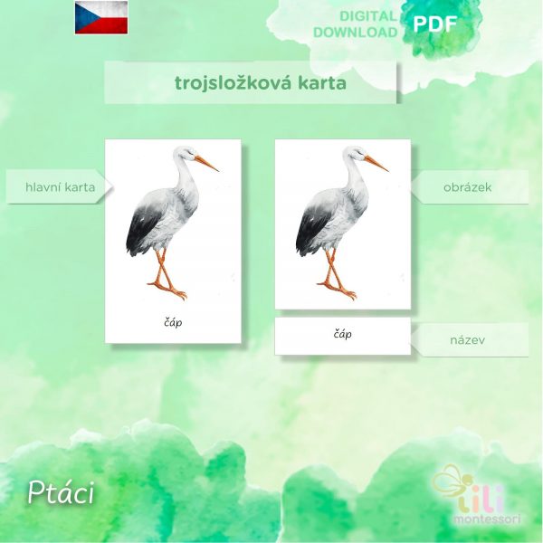 Ptáci-Trojsložkové karty ČJ - Image 2