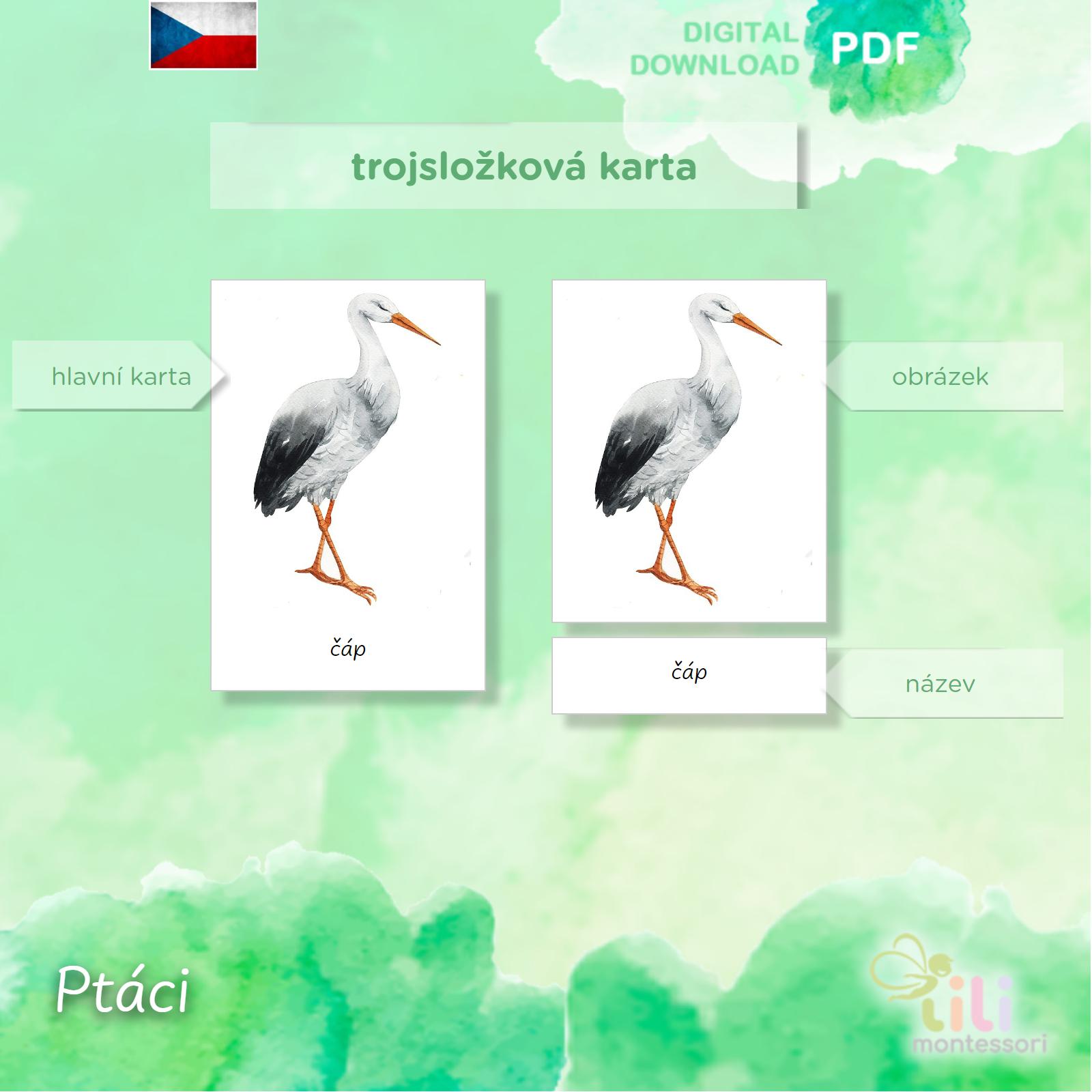 Ptáci-Trojsložkové karty ČJ