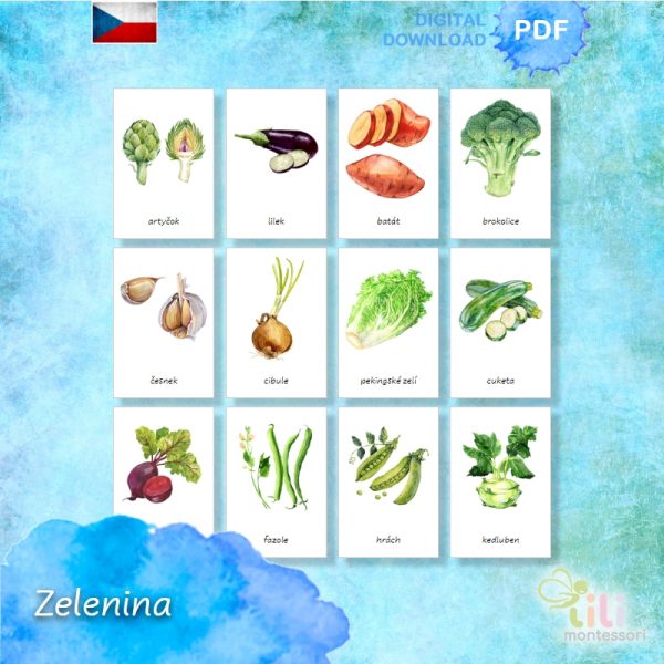 Zelenina -Trojsložkové karty ČJ - Image 3